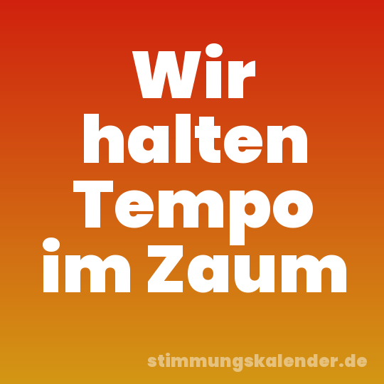 Wir halten Tempo im Zaum