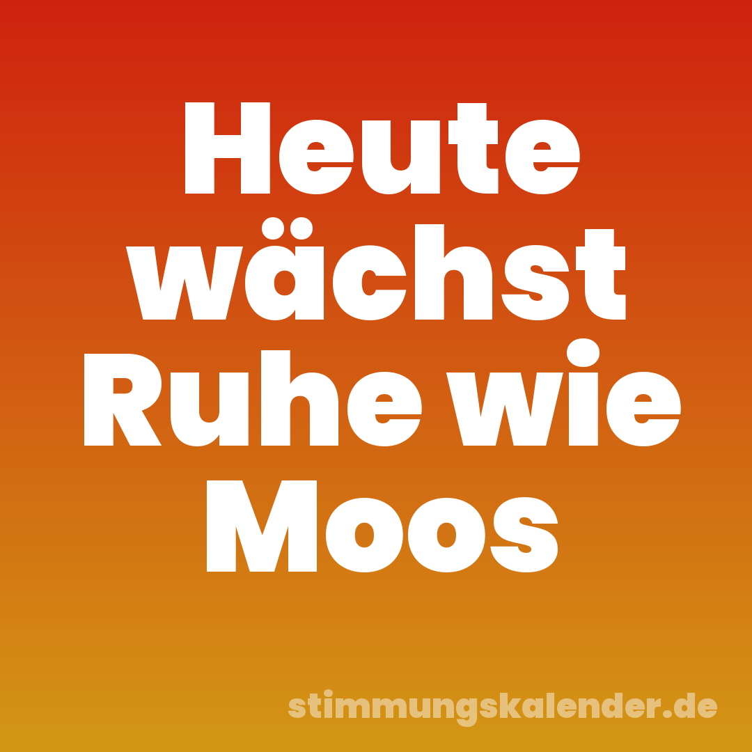 Heute wächst Ruhe wie Moos