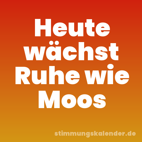 Heute wächst Ruhe wie Moos
