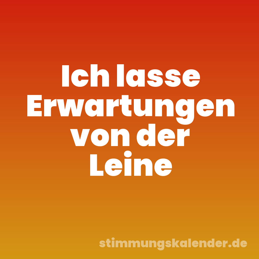 Ich lasse Erwartungen von der Leine
