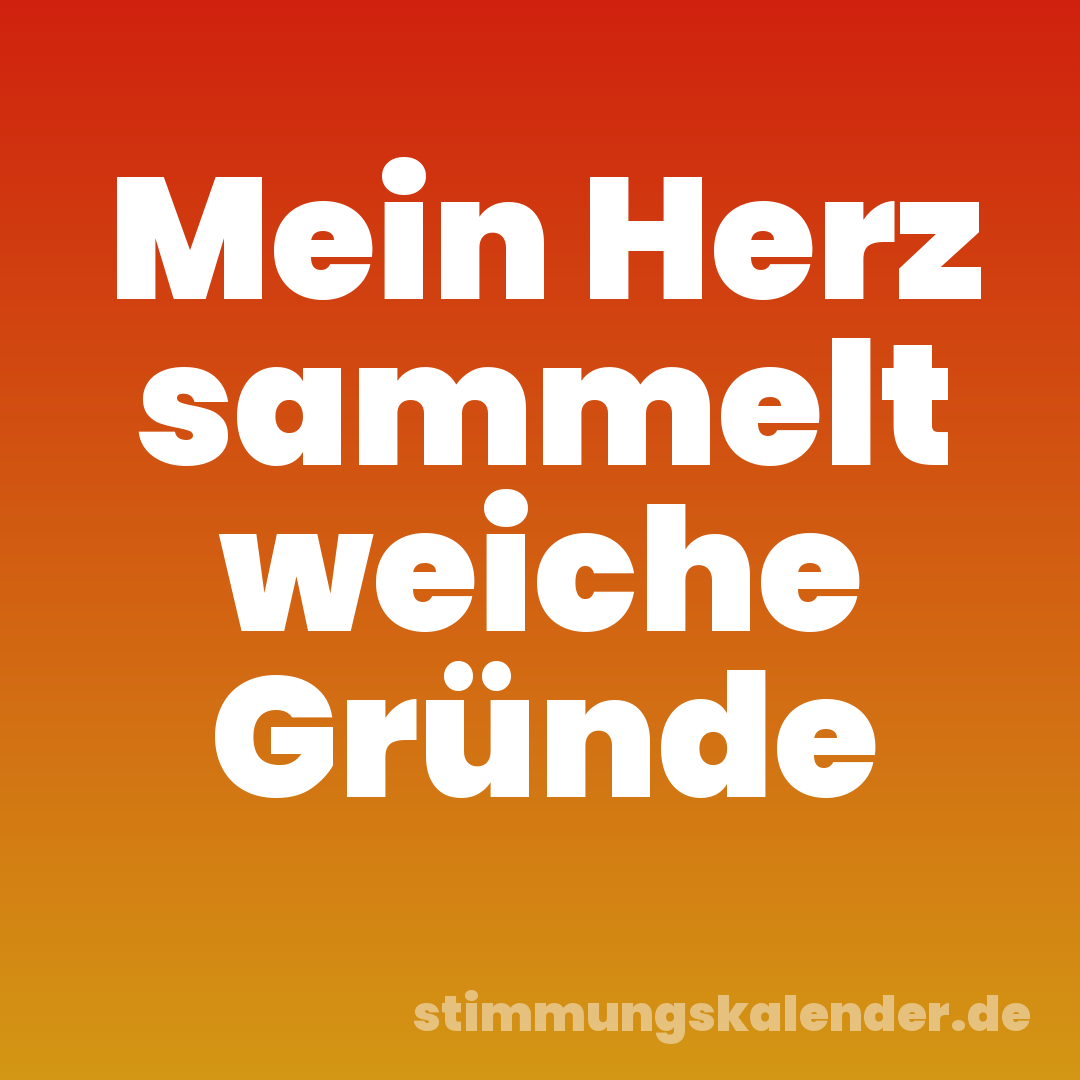 Mein Herz sammelt weiche Gründe