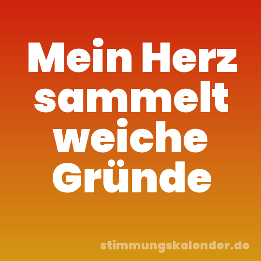 Mein Herz sammelt weiche Gründe