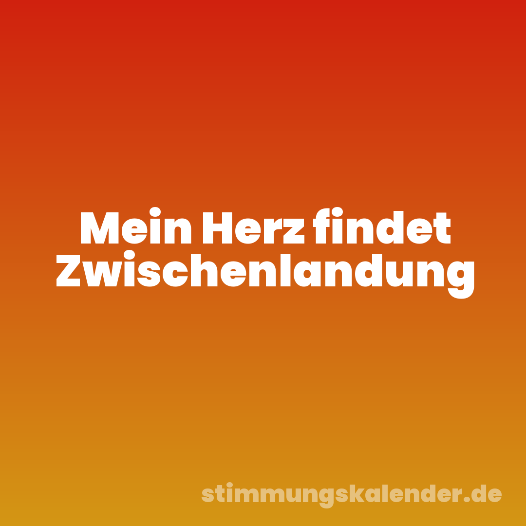 Mein Herz findet Zwischenlandung