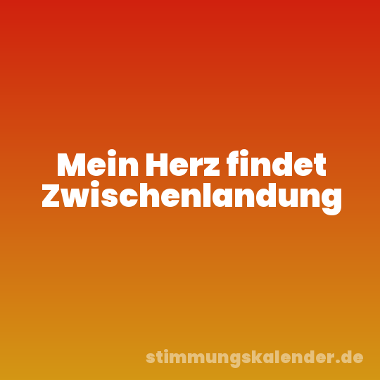 Mein Herz findet Zwischenlandung