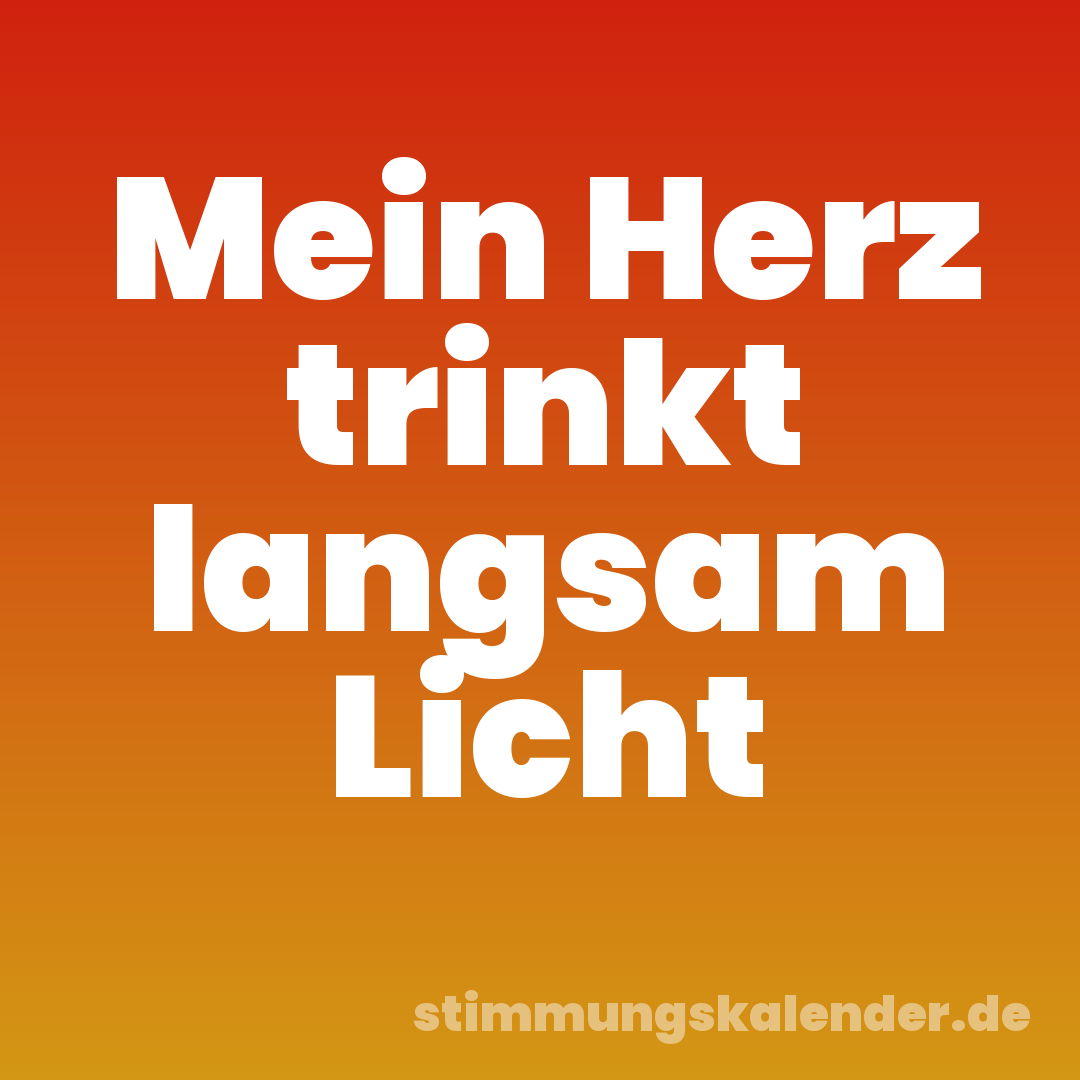 Mein Herz trinkt langsam Licht