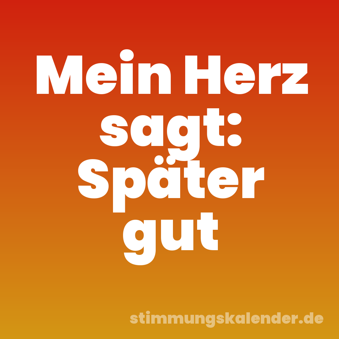 Mein Herz sagt: Später gut