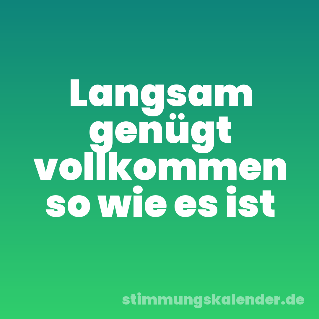 Langsam genügt vollkommen so wie es ist