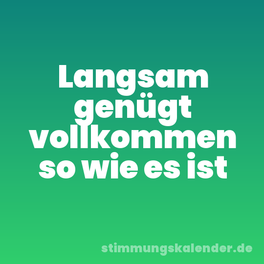 Langsam genügt vollkommen so wie es ist