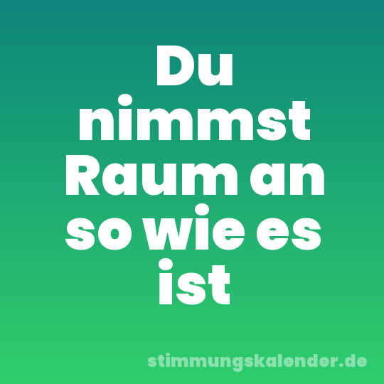 Du nimmst Raum an so wie es ist
