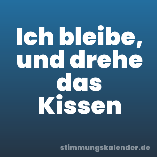 Ich bleibe, und drehe das Kissen