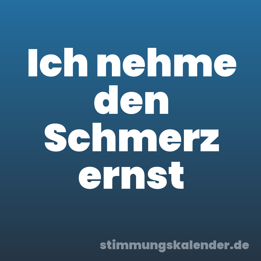Ich nehme den Schmerz ernst
