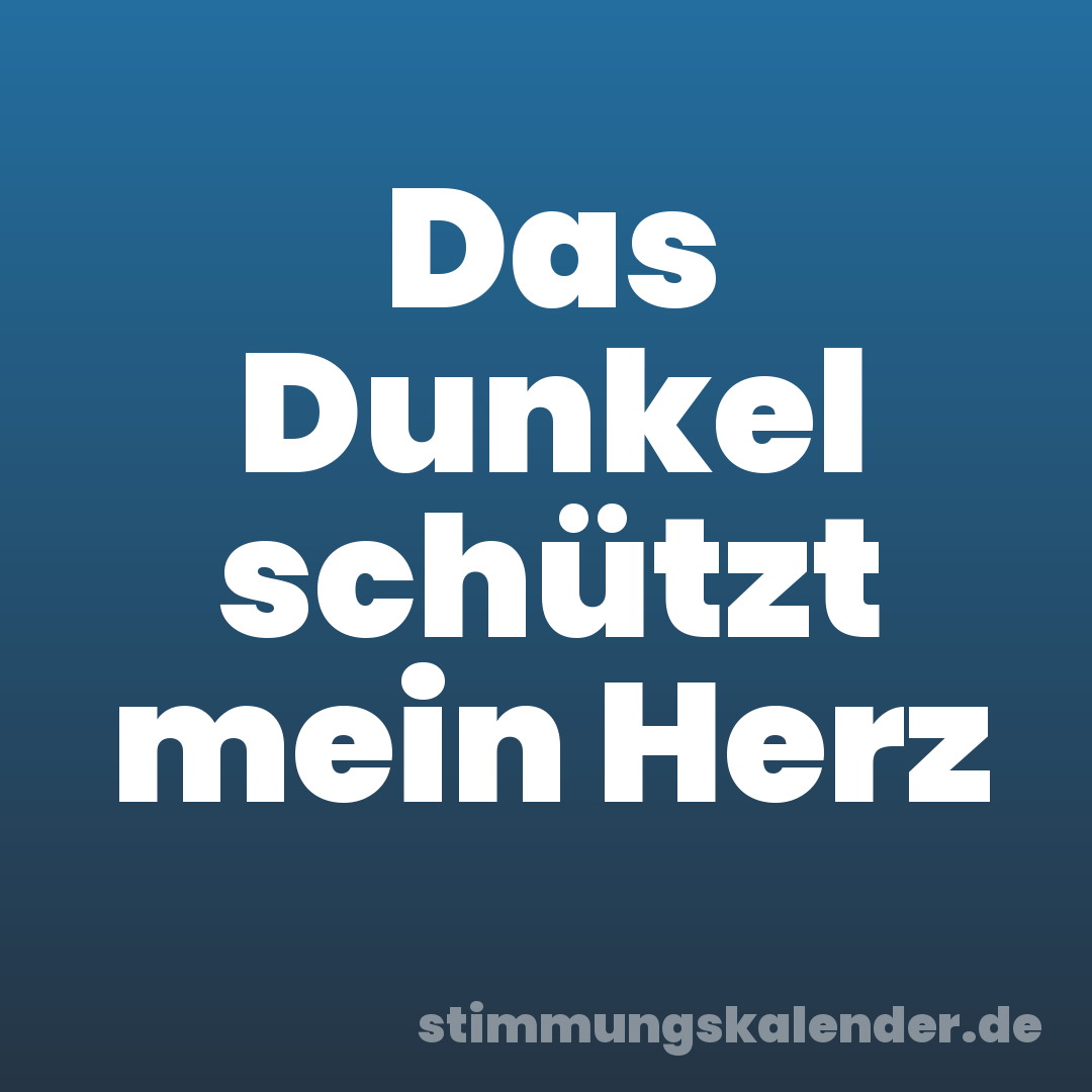 Das Dunkel schützt mein Herz