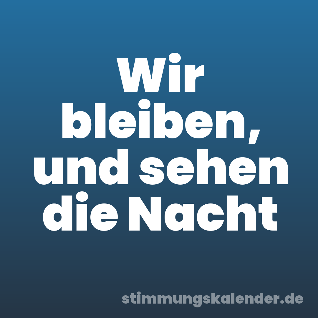 Wir bleiben, und sehen die Nacht