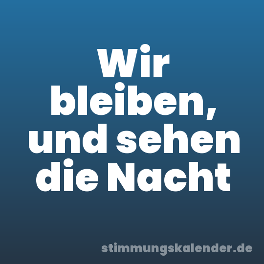 Wir bleiben, und sehen die Nacht