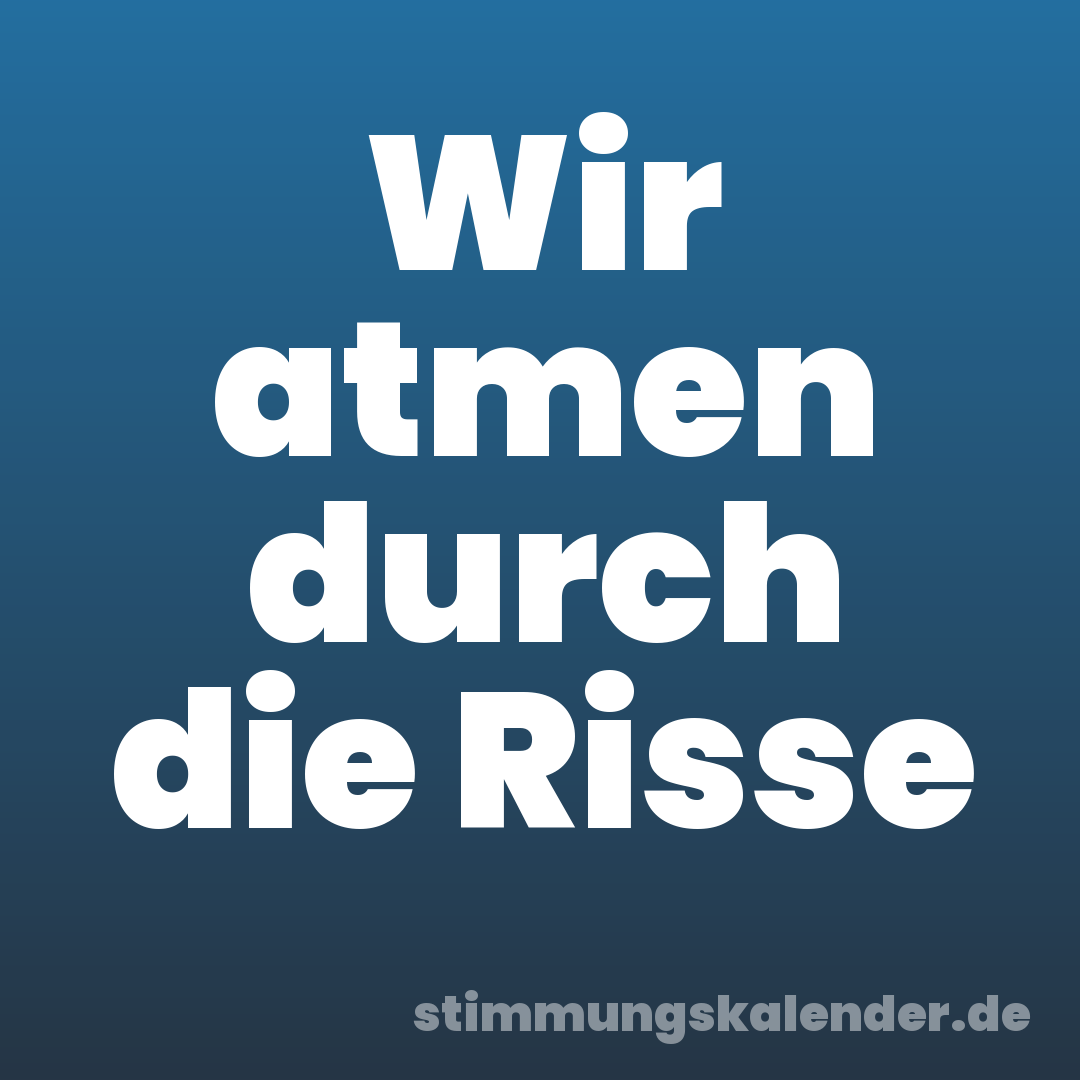 Wir atmen durch die Risse