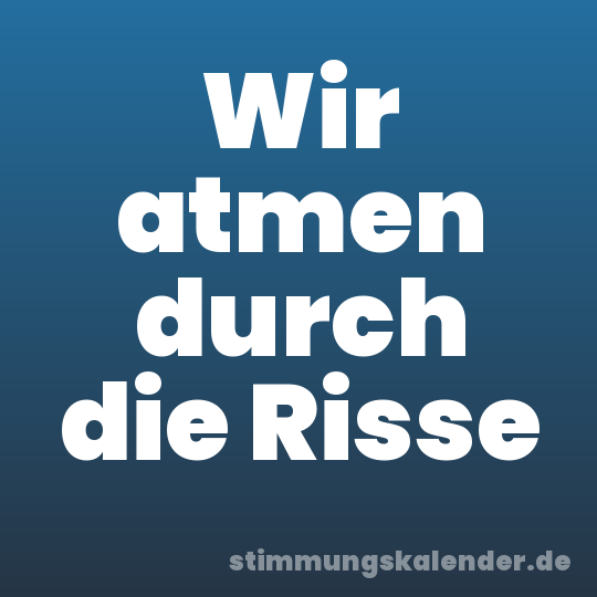 Wir atmen durch die Risse