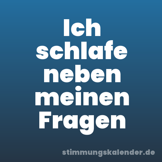 Ich schlafe neben meinen Fragen