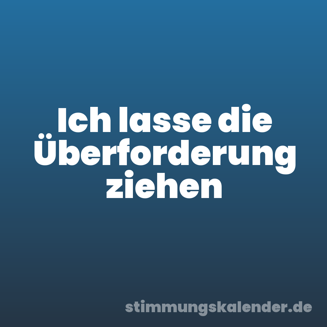 Ich lasse die Überforderung ziehen