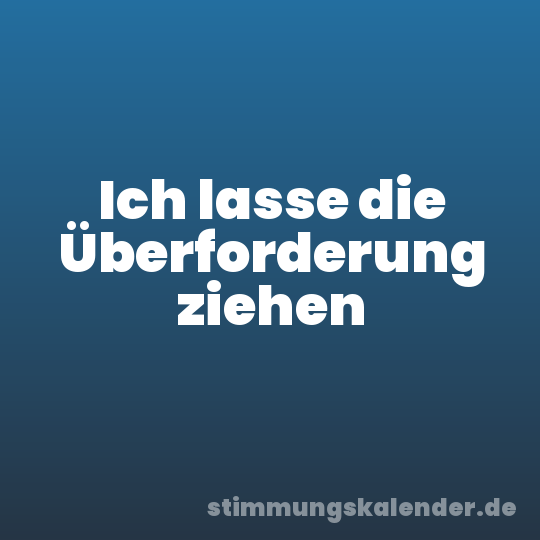 Ich lasse die Überforderung ziehen