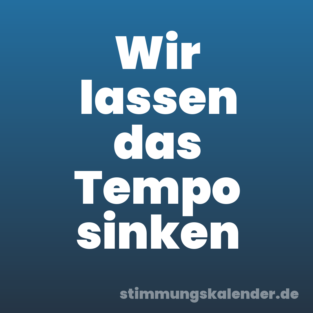 Wir lassen das Tempo sinken
