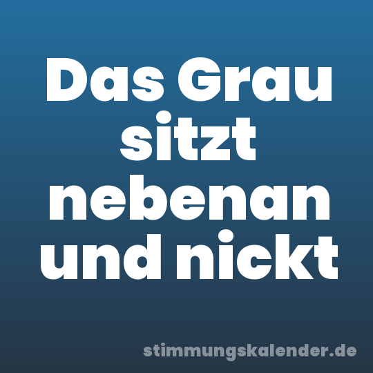 Das Grau sitzt nebenan und nickt