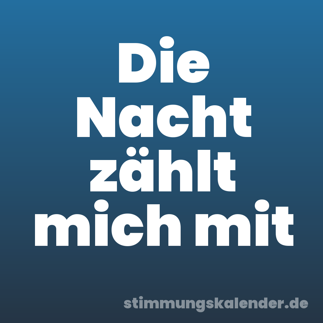 Die Nacht zählt mich mit
