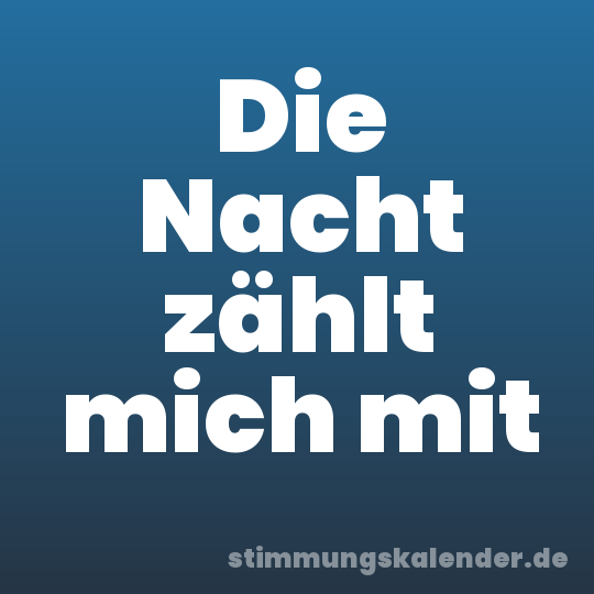 Die Nacht zählt mich mit
