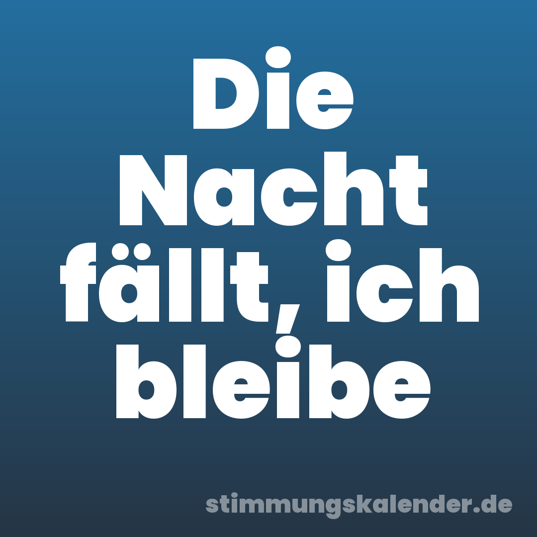 Die Nacht fällt, ich bleibe
