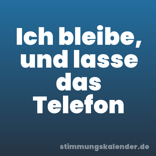 Ich bleibe, und lasse das Telefon