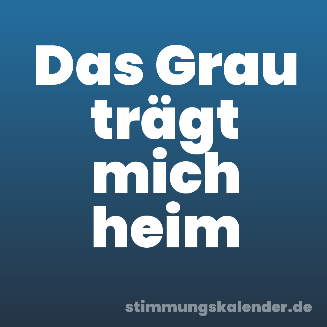 Das Grau trägt mich heim
