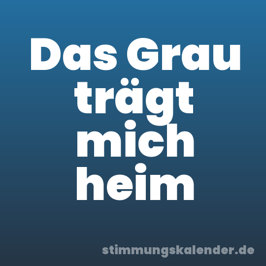 Das Grau trägt mich heim