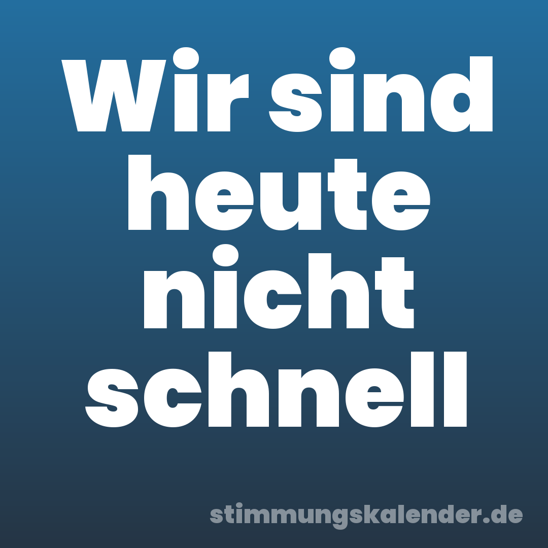 Wir sind heute nicht schnell