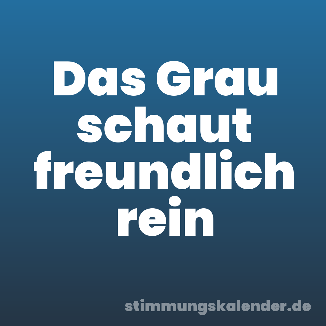 Das Grau schaut freundlich rein