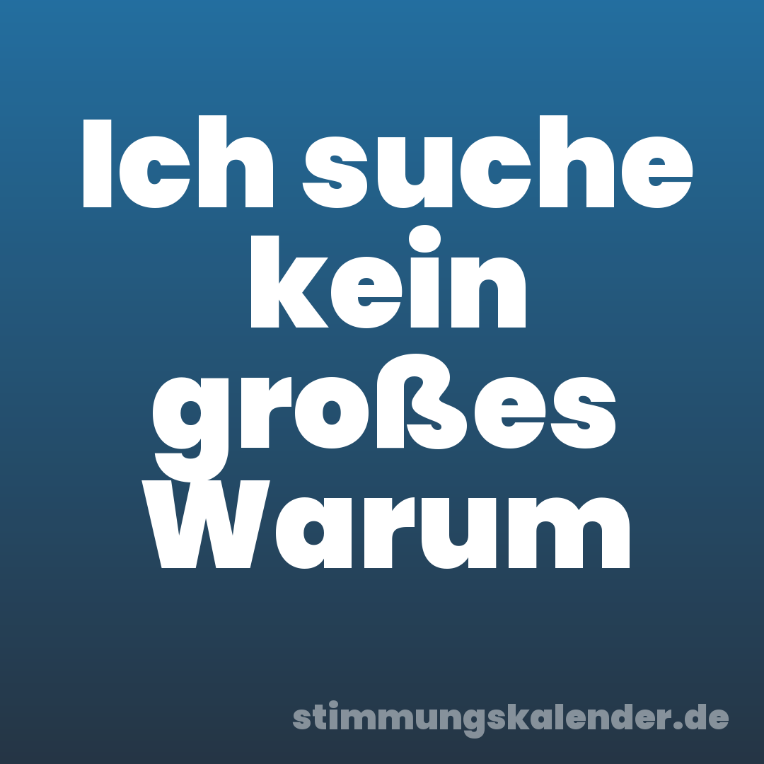 Ich suche kein großes Warum
