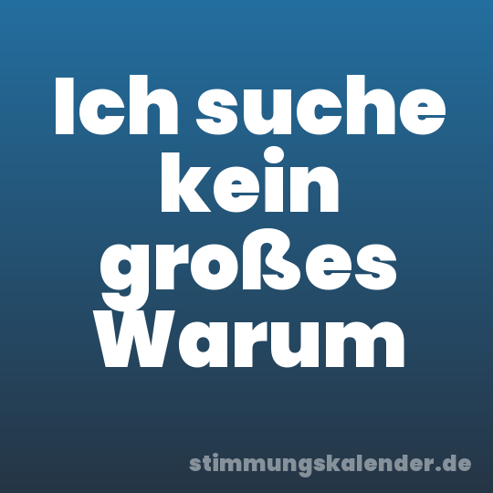Ich suche kein großes Warum