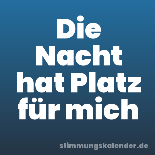 Die Nacht hat Platz für mich