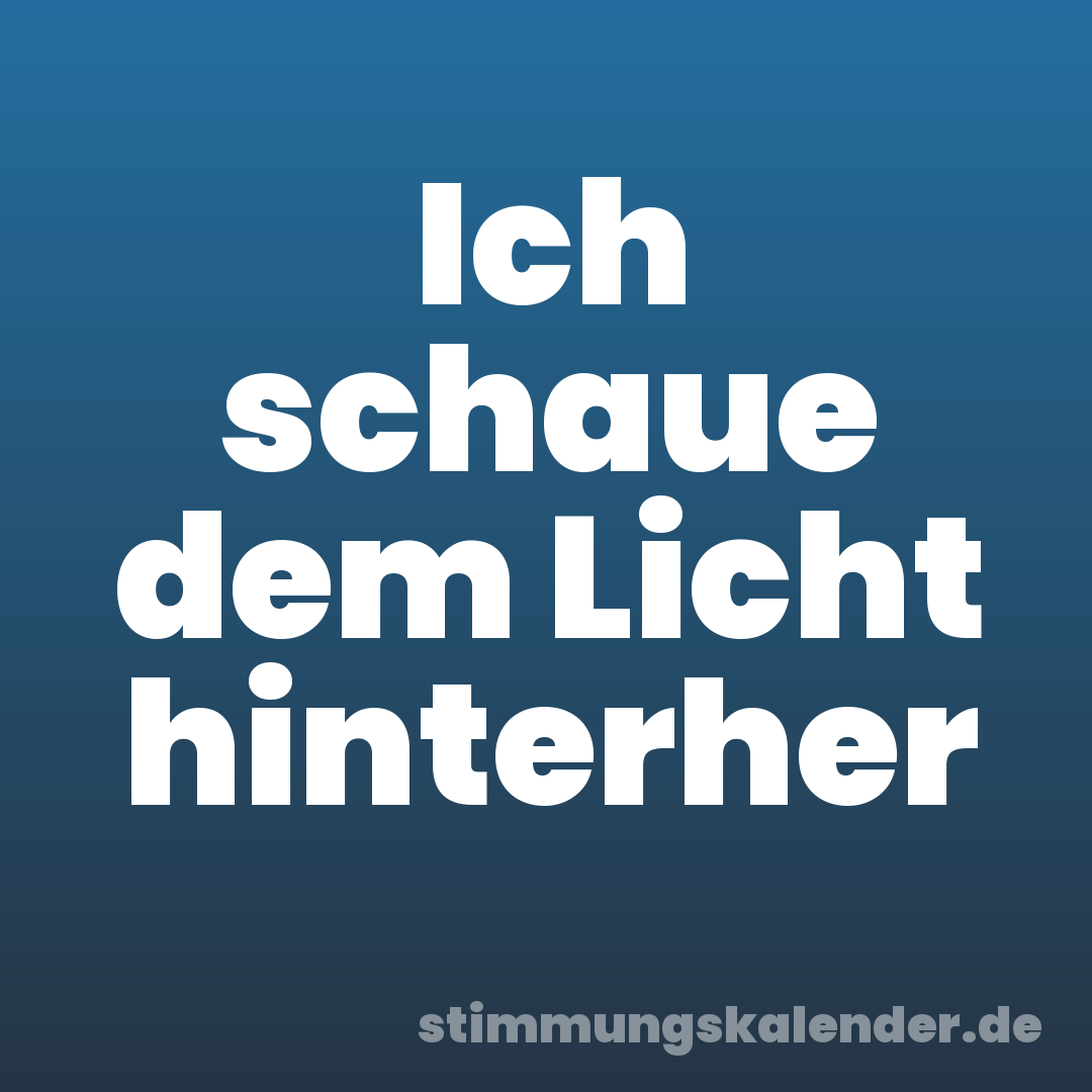 Ich schaue dem Licht hinterher