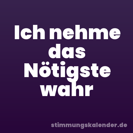 Ich nehme das Nötigste wahr