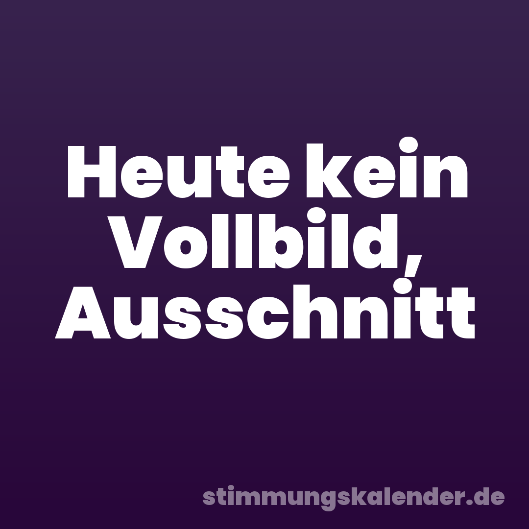 Heute kein Vollbild, Ausschnitt