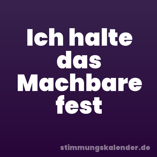 Ich halte das Machbare fest