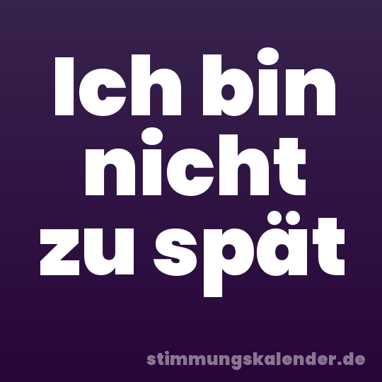 Ich bin nicht zu spät