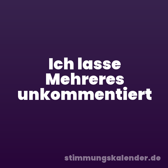 Ich lasse Mehreres unkommentiert