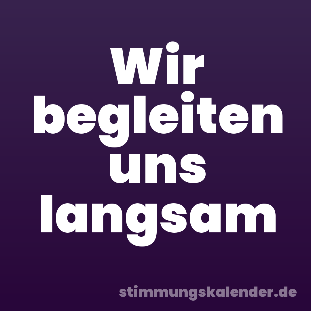 Wir begleiten uns langsam