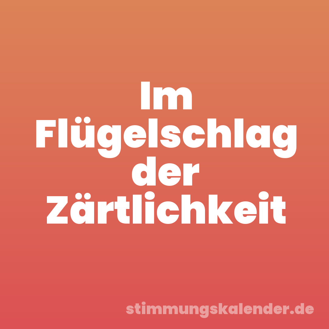 Im Flügelschlag der Zärtlichkeit