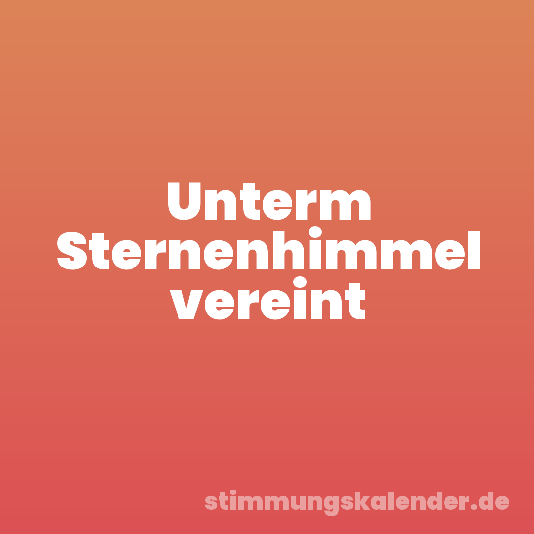 Unterm Sternenhimmel vereint