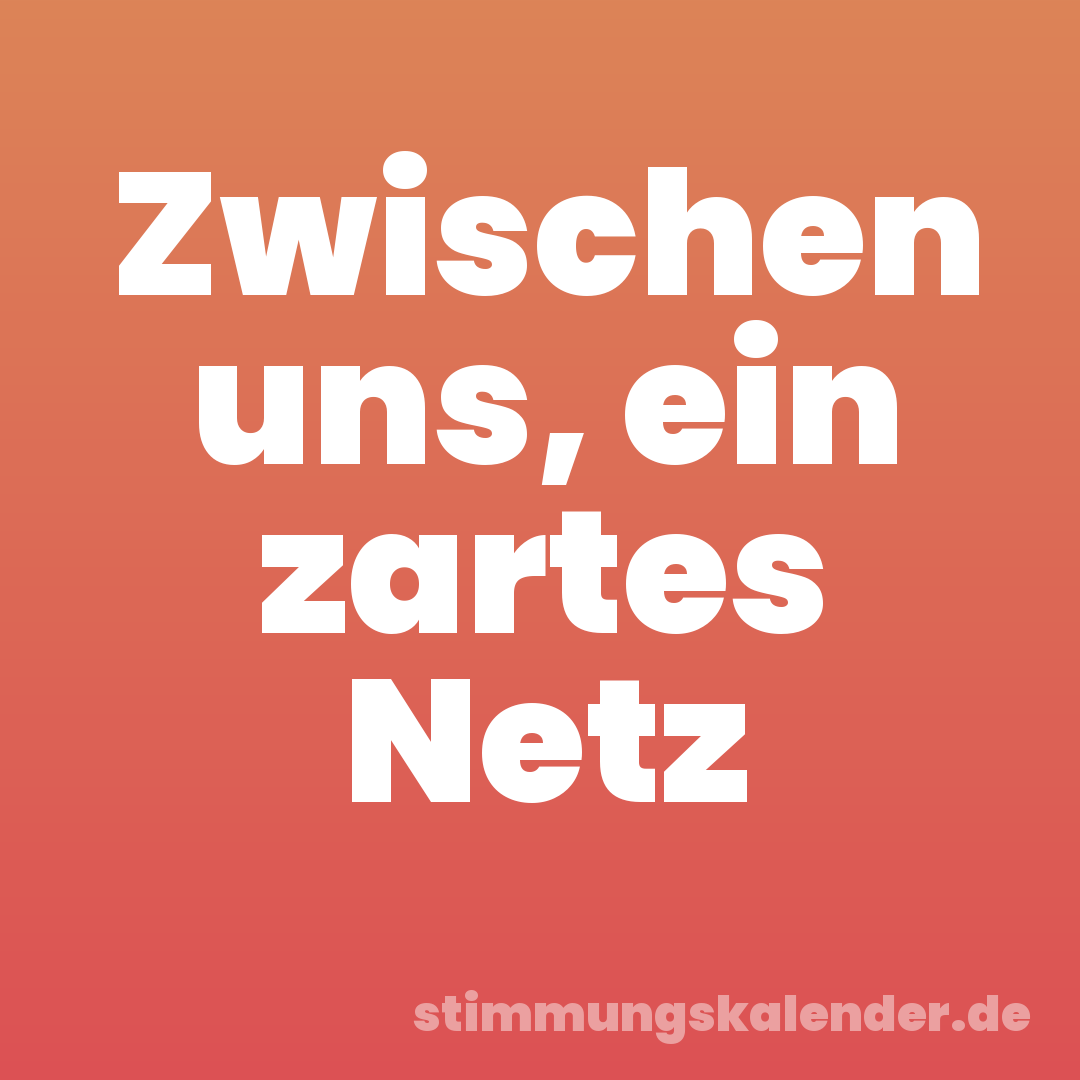 Zwischen uns, ein zartes Netz