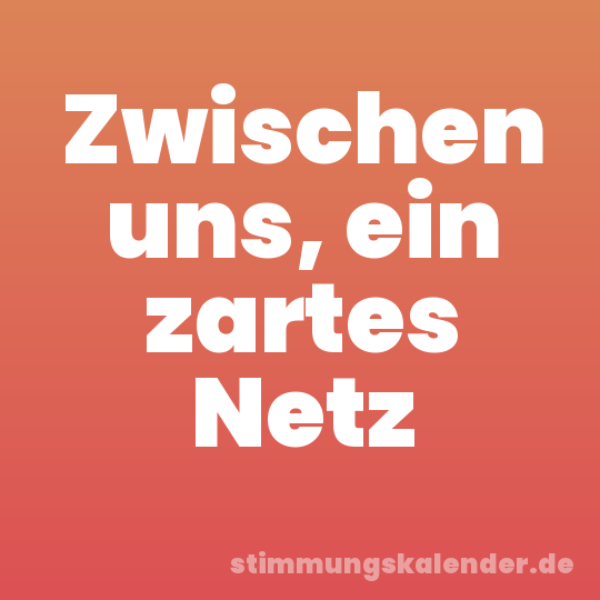 Zwischen uns, ein zartes Netz