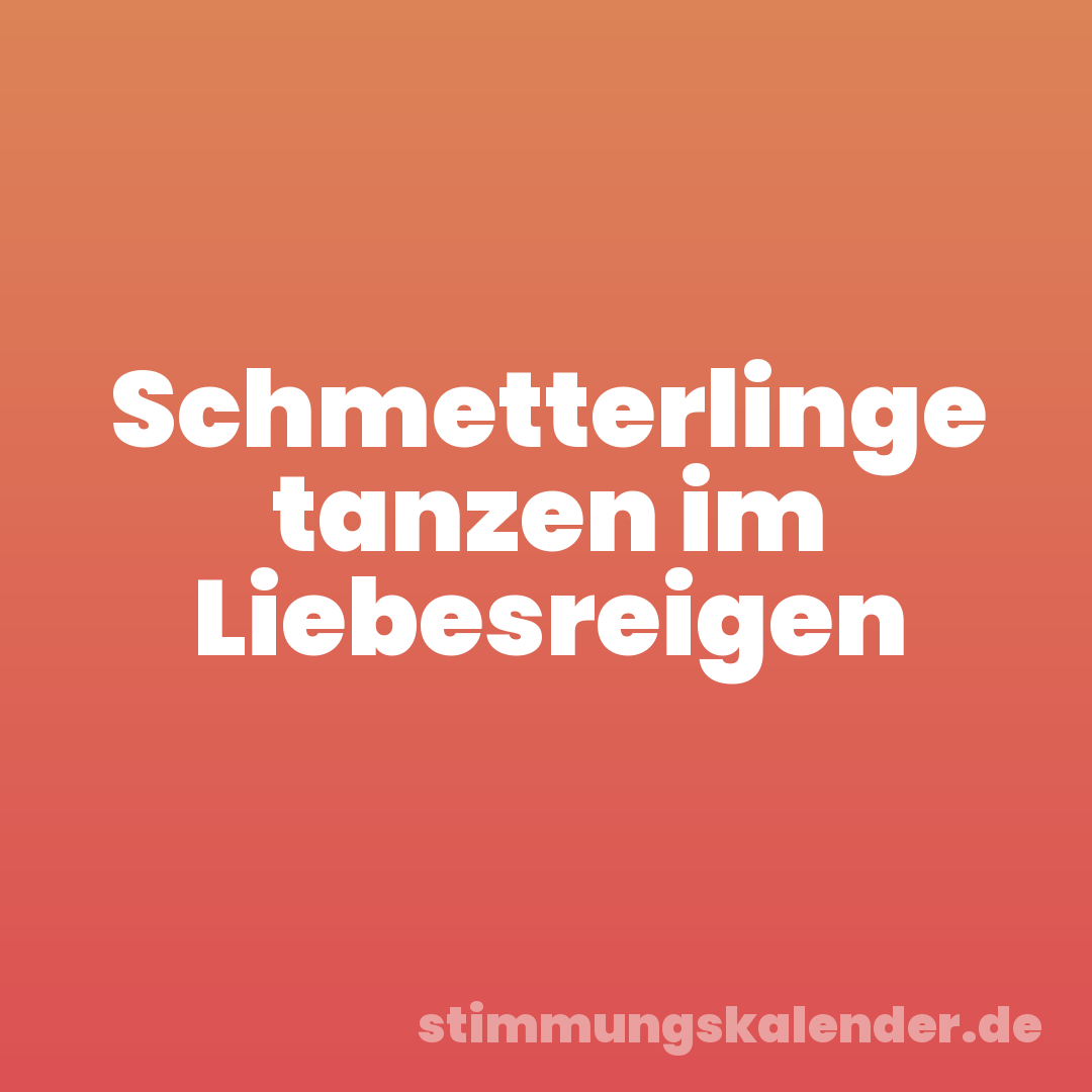 Schmetterlinge tanzen im Liebesreigen