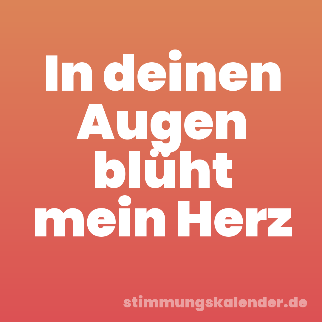 In deinen Augen blüht mein Herz