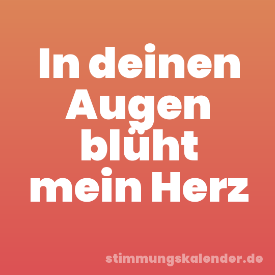 In deinen Augen blüht mein Herz